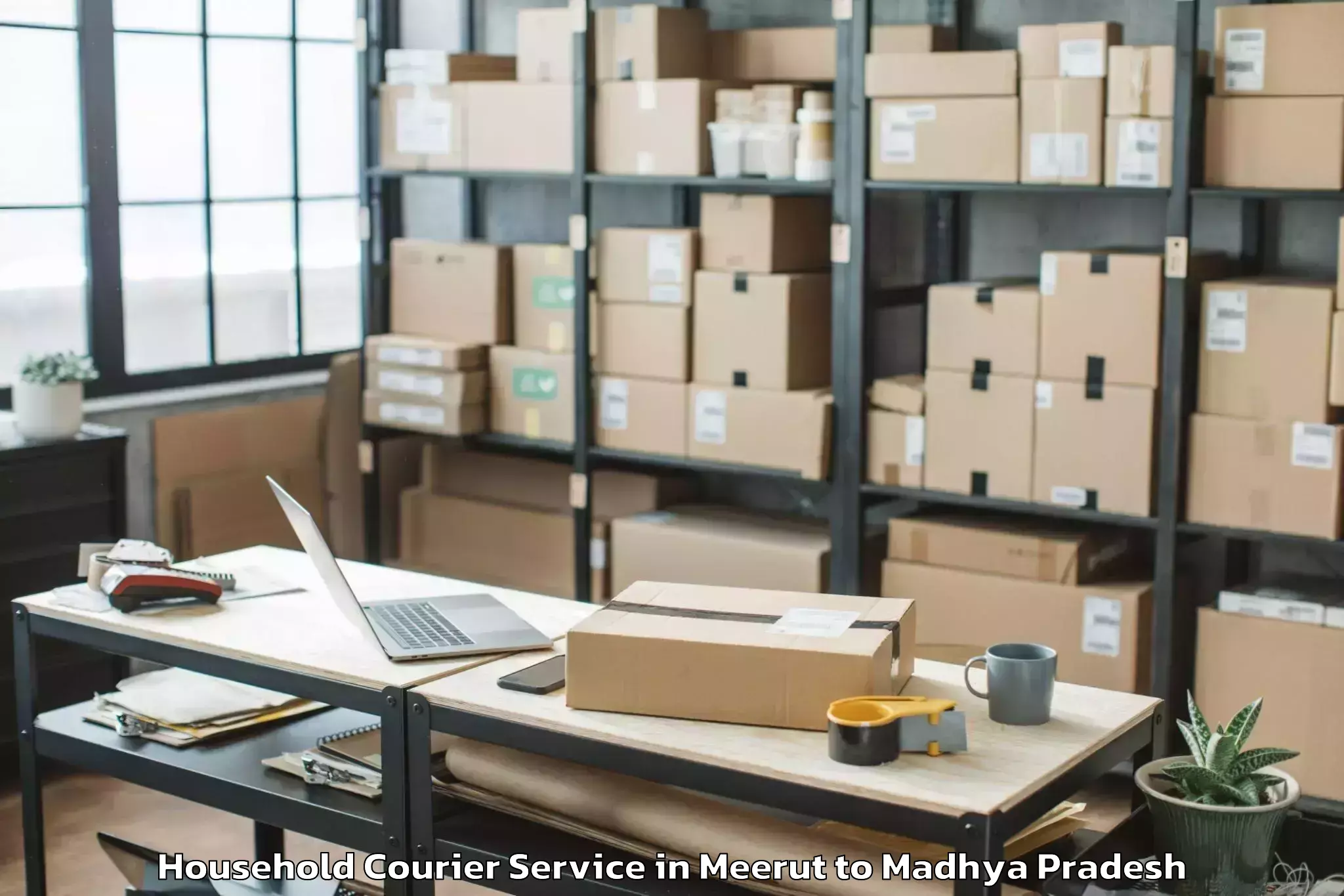 Top Meerut to Khajuraho Group Of Monuments Household Courier Available